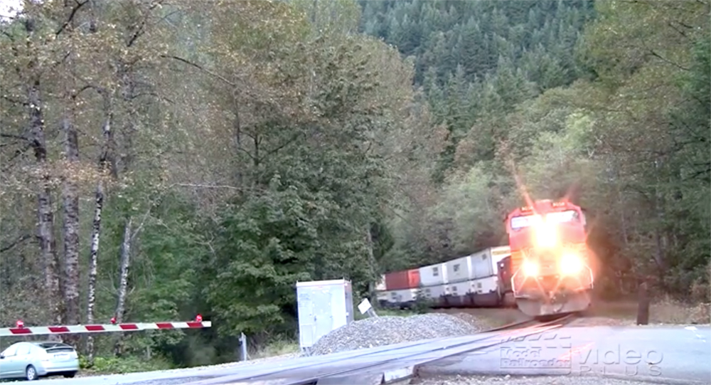 A diesel locomotive leads a train through a forested scene.