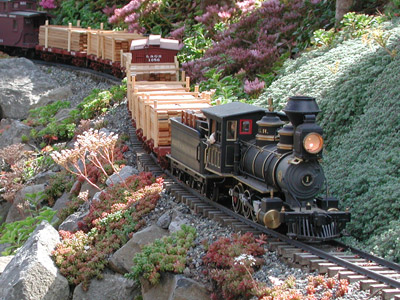 Model Black Train hauling wood