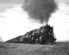 Steam locomotive hauls a freight train through the prairie.
