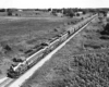 Mid-20th-century diesel locomotives lead a long train of covered hoppers in a rolling farm scene.