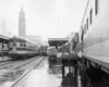 Worker loads bags from a cart into a passenger car at a train station with several passenger trains paused.