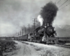 A steam locomotive and a freight motor lead a freight train.