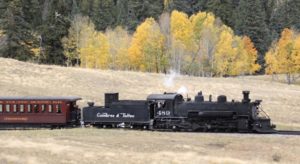 A train riding through a field