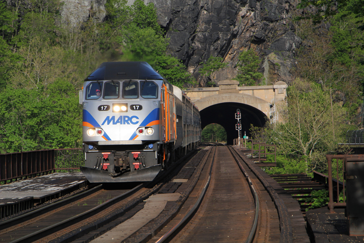 Blue and silver-painted diesel locomotive leads a train out of a tunnel in a forested scene.