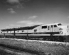 Two matched passenger locomotives attached and posing for the photographer.