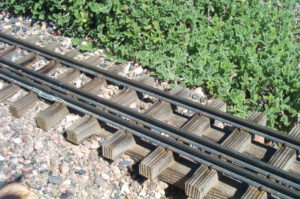 Handlaid gauge-1 track with redwood ties