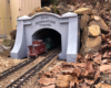 Richard Weatherby quarantine tunnel portal