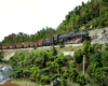 An HO Scale steam locomotive hauls uniform coal hoppers upgrade in a green mountain scene.