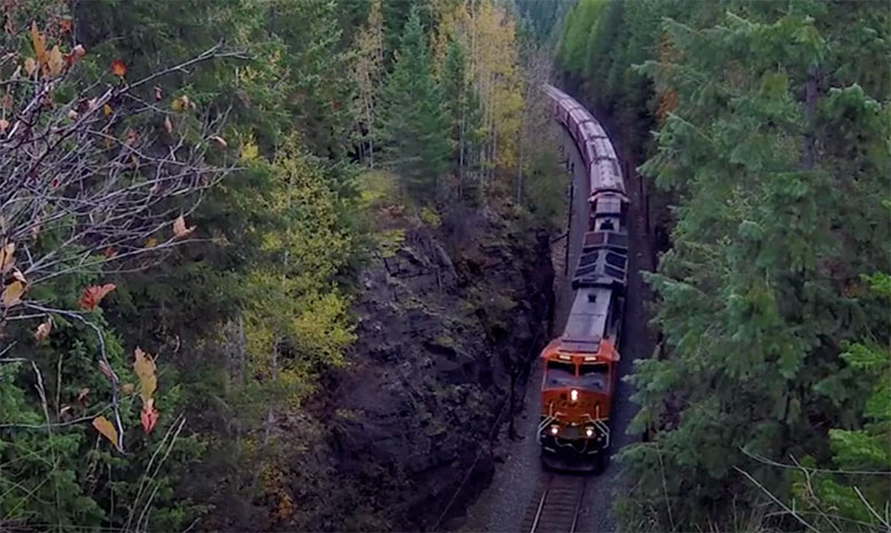 Train moving though a forested mountain area.