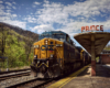 A yellow-and-blue locomotive leads a freight train beside a passenger platform bearing the word "Prince".