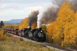 A train traveling in fall