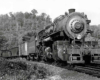 Articulated steam locomotive with freight train