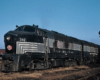 A black and silver "shark nose" diesel sits on a weedy track in a rail yard.