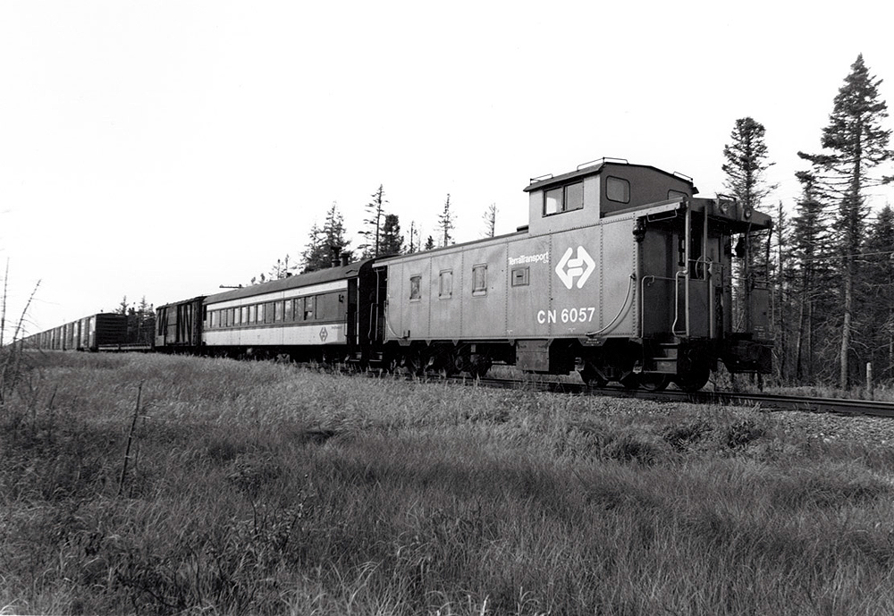 A mixed freight train ending with a caboose in a sparse forested area.