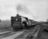 Pacific 603 with New York–Montreal Laurentian, second section (New York–Plattsburgh only, with day coaches for summer campers) near Essex, N.Y., early 1940s.