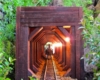 The author designed her rear-of-the-railway tunnel for viewing from a glider on the front door stoop