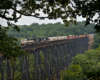 Locomotives hauling mixed freight train over a trestle surrounded by forest.