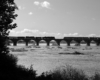 Black and white image of two trains paused on a bridge.