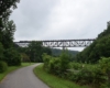 Train passing over an open steel bridge surrounded by forest.