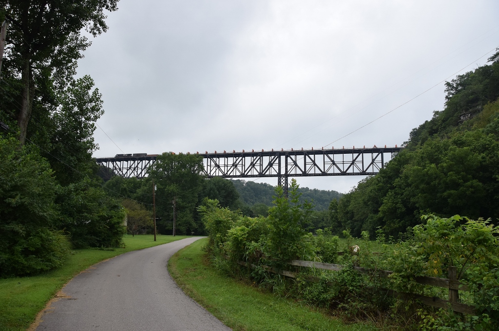 Train passing over an open steel bridge surrounded by forest.