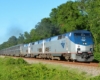 A long Amtrak passenger train moving through a tree-lined background.