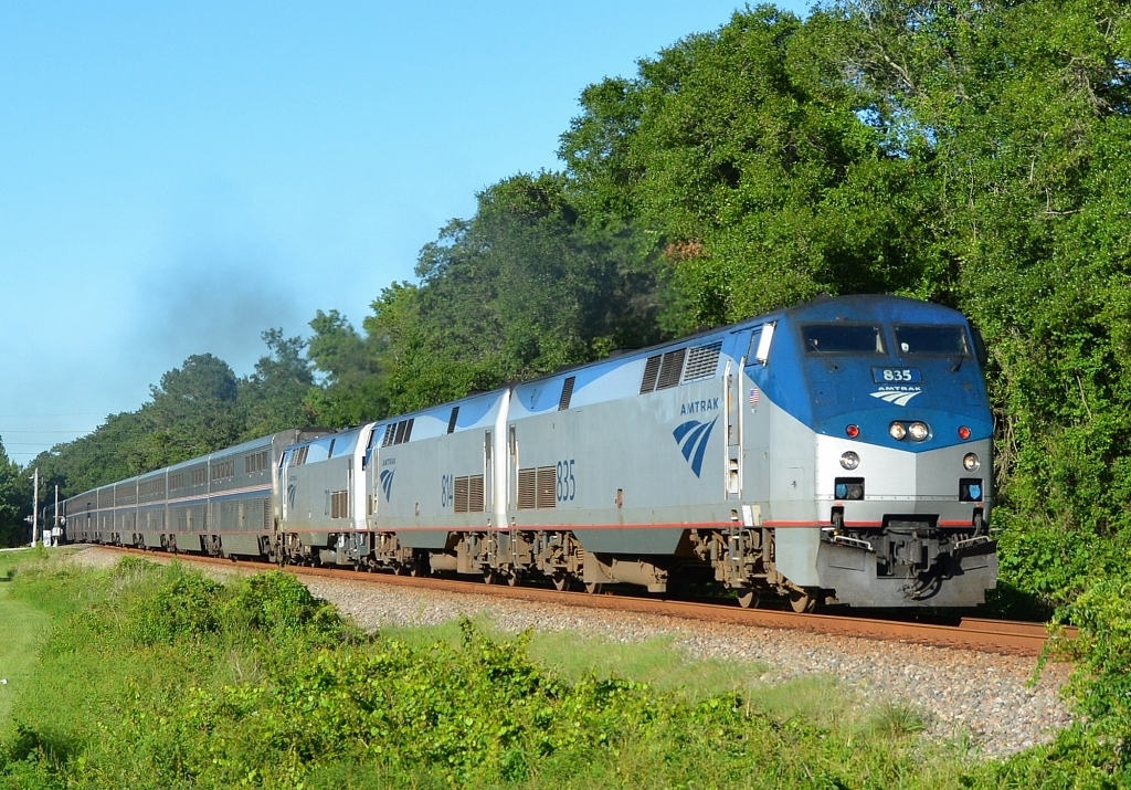A long Amtrak passenger train moving through a tree-lined background.