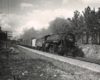 Steam locomotive with freight train