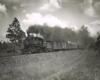 Steam locomotive on freight train