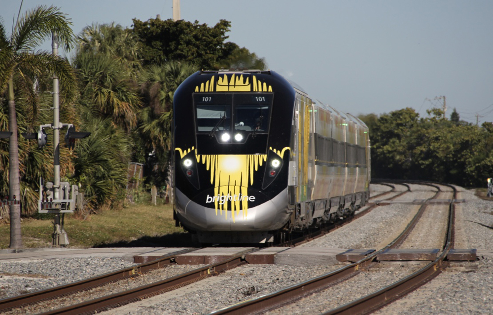 A streamlined passenger train on a double-tracked mainline with palm trees in the background.