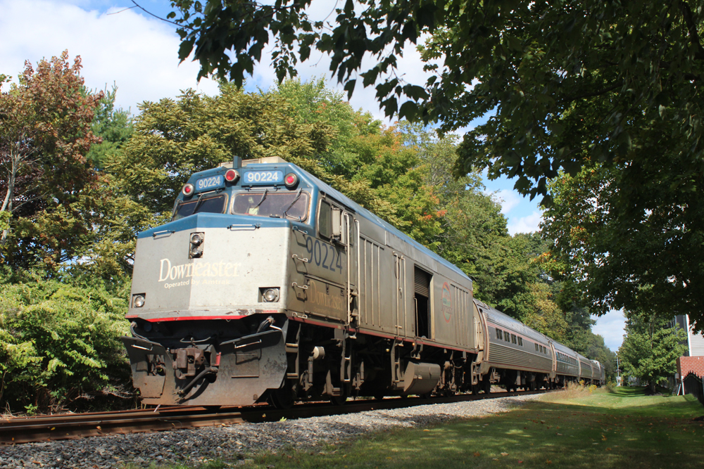 Passenger train passing through trees