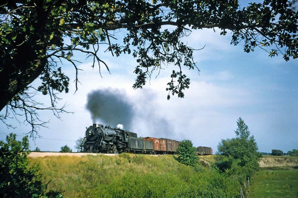 Smoking steam locomotive with freight train framed under tree