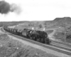 Articulated steam locomotives with freight train