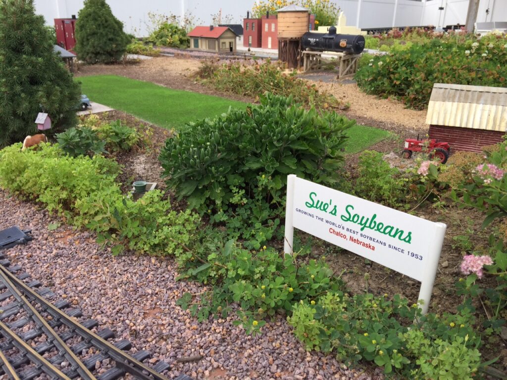 A garden railroad scene with a model soybean field.