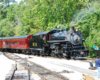 steam passenger train in Tennessee