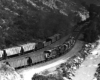 Diesel locomotives with coal train along river in canyon