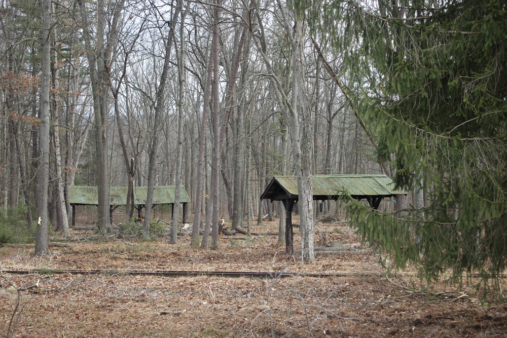 Picnic area in trees with covered seating areas