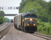 Yellow locomotives pulling freight train as it rounds slight curve.