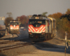 Two commuter trains with bilevel gallery cars meet in late afternoon sunlight.