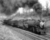 Steam locomotive with freight train