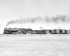 Steam locomotive with freight train