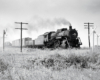 Steam locomotive with freight train