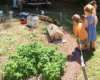 Kids and adults watch a large-scale train display