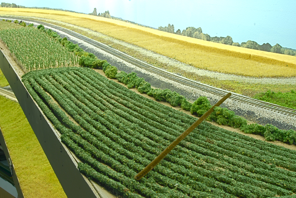 Rows of crops on a model railroad