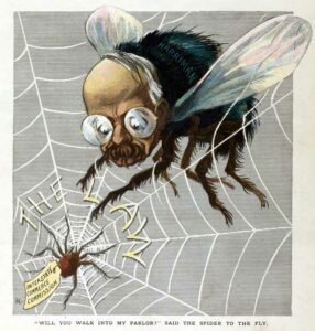 Cartoon of a fly and a spider with its web