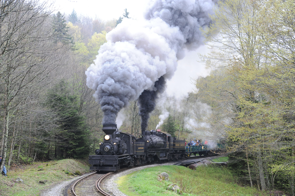 Two double-headed steam locomotives haul a tourist train through a springtime forest.