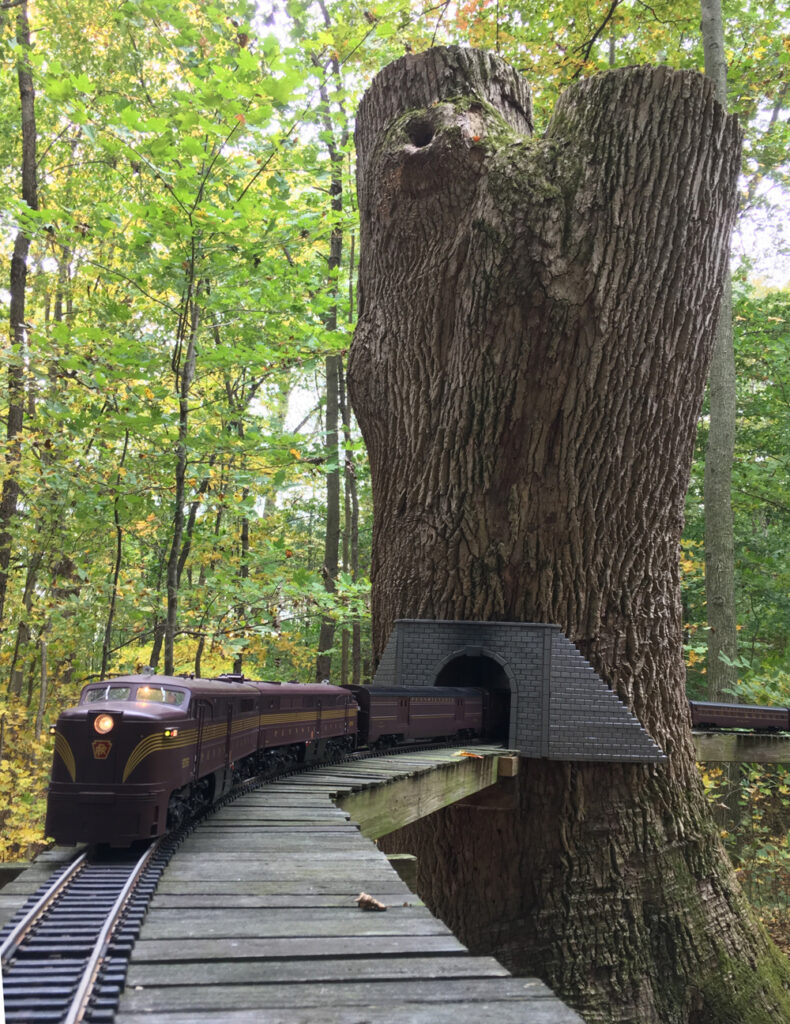 Tunnel through tree with locomotive on track