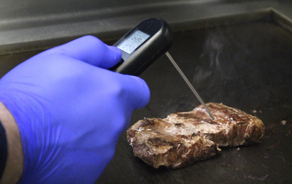 Gloved hand using meat thermometer.