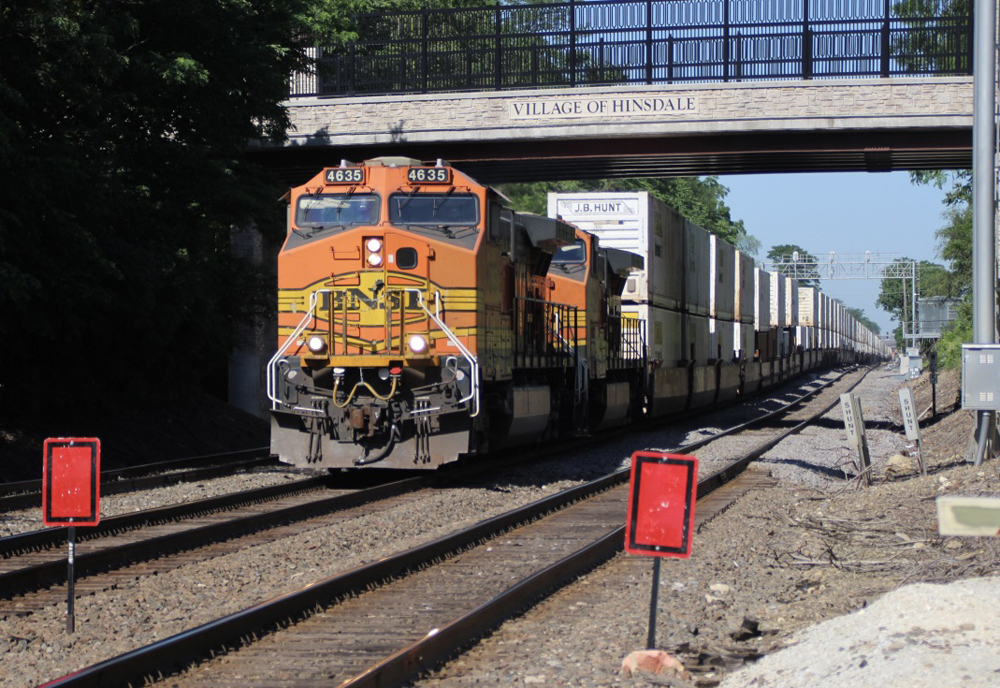 Container train passing under bridge