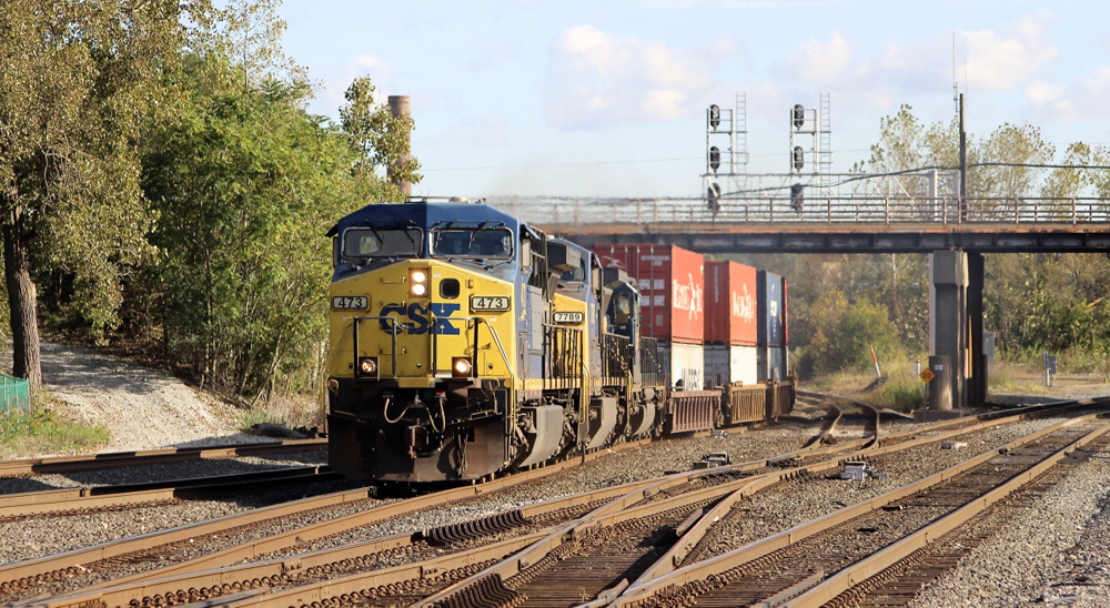 Intermodal train with blue and yellow locomotives