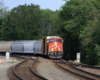 Freight train with red and black locomotive rounds curve.